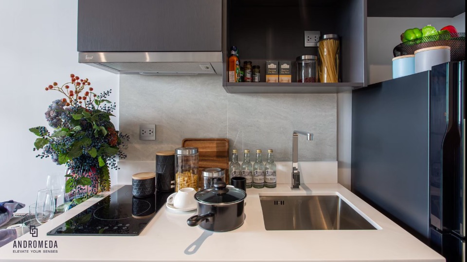Andromeda Condominium - photo 16